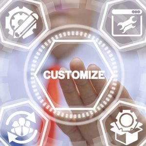 customize2